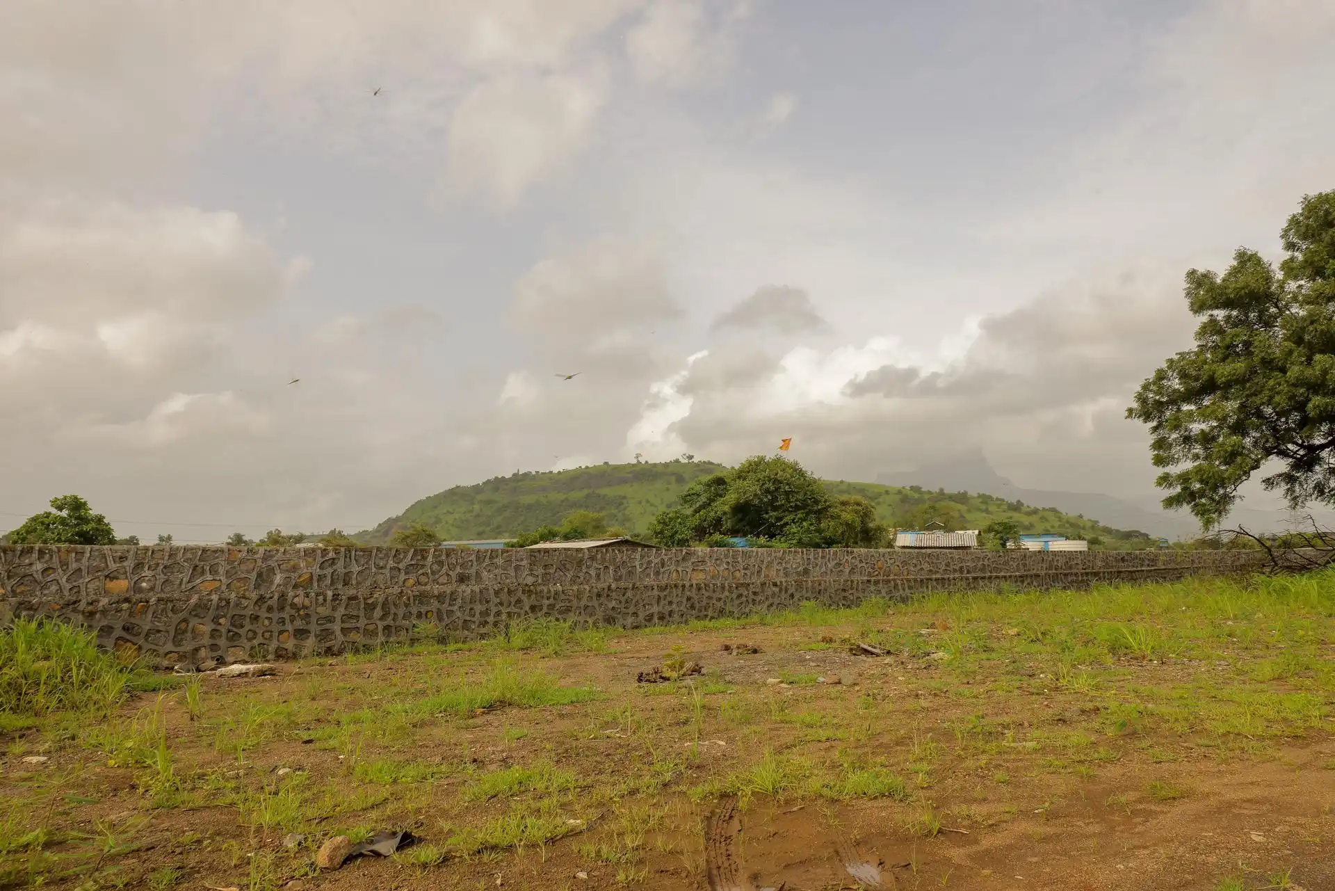 Nitalas Project